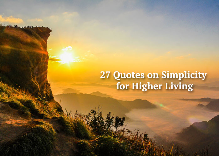 Simplicity Quotes